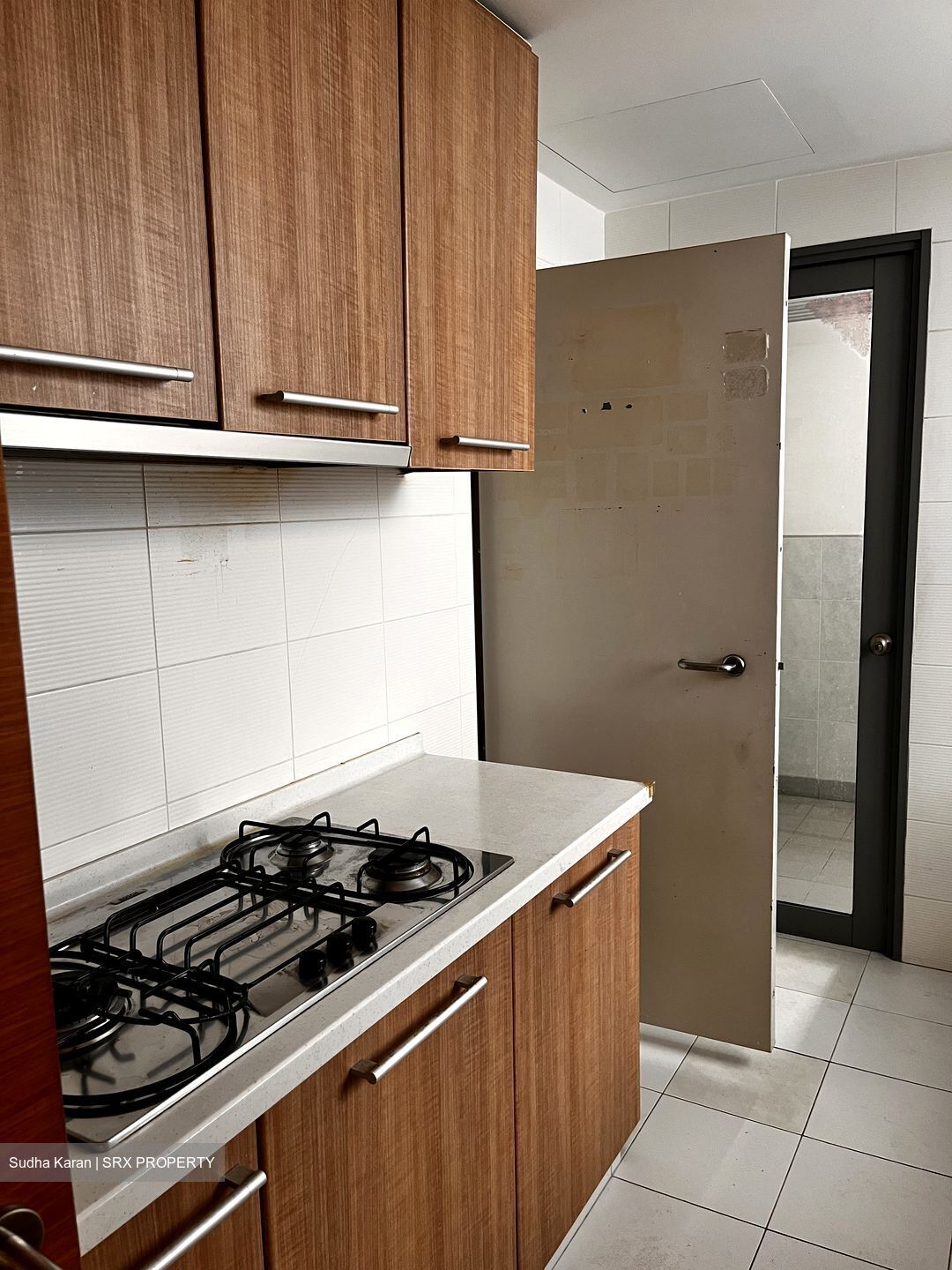 The Waterina (D14), Apartment #555000721